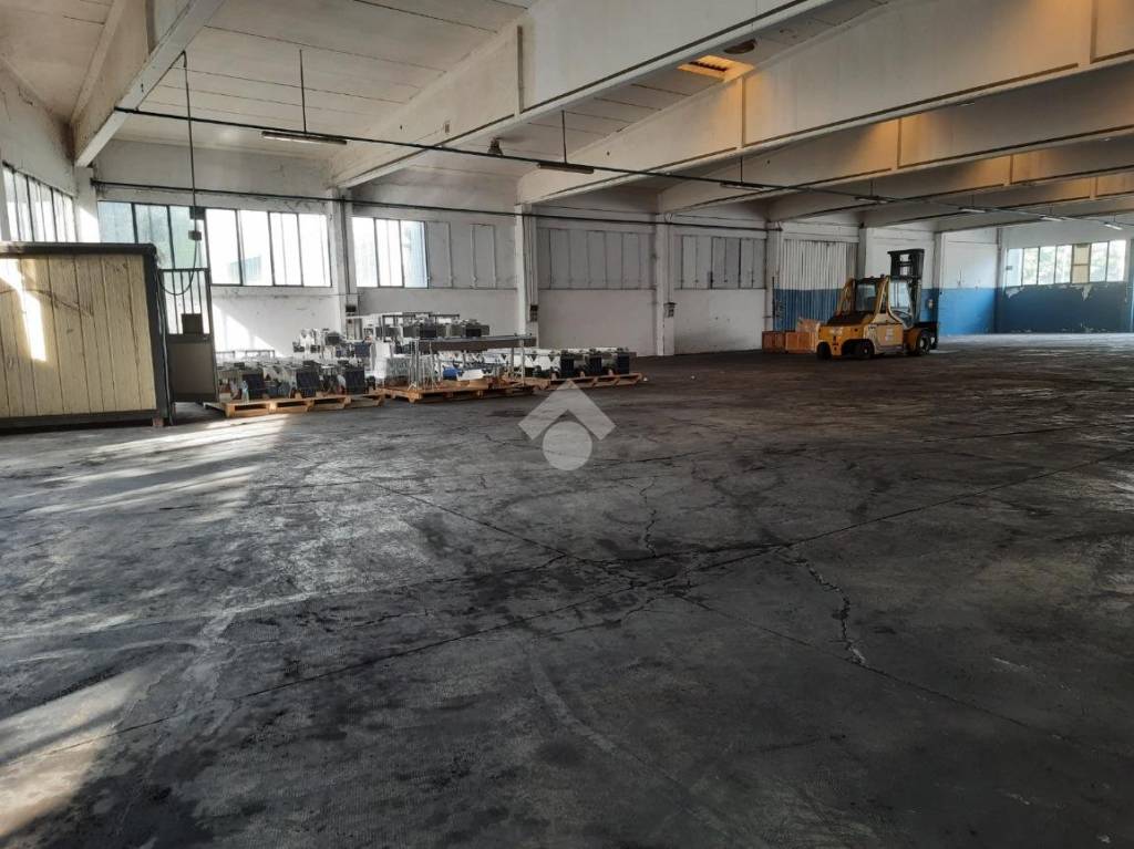 immagine annuncio 2 di 13