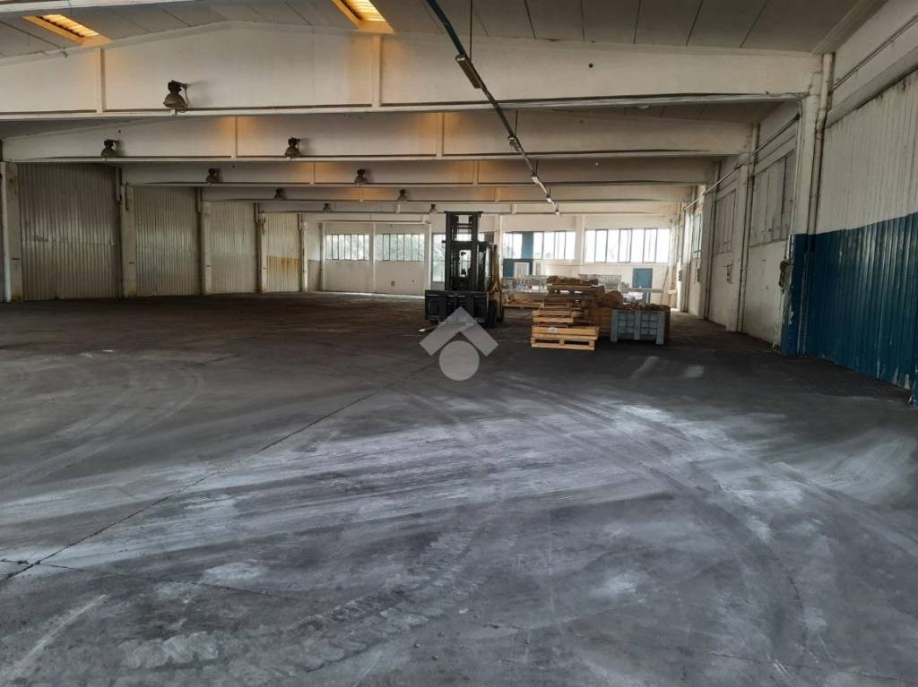 immagine annuncio 3 di 13