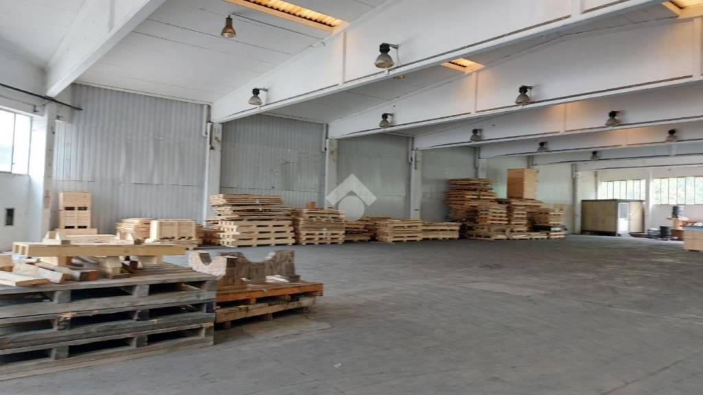 immagine annuncio 4 di 13