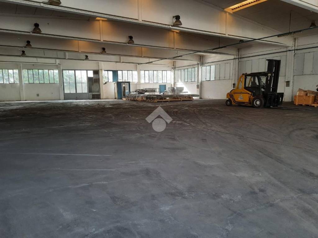 immagine annuncio 5 di 13