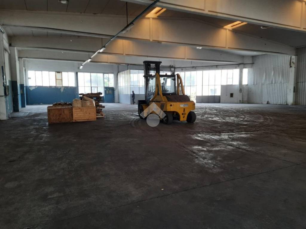 immagine annuncio 7 di 13