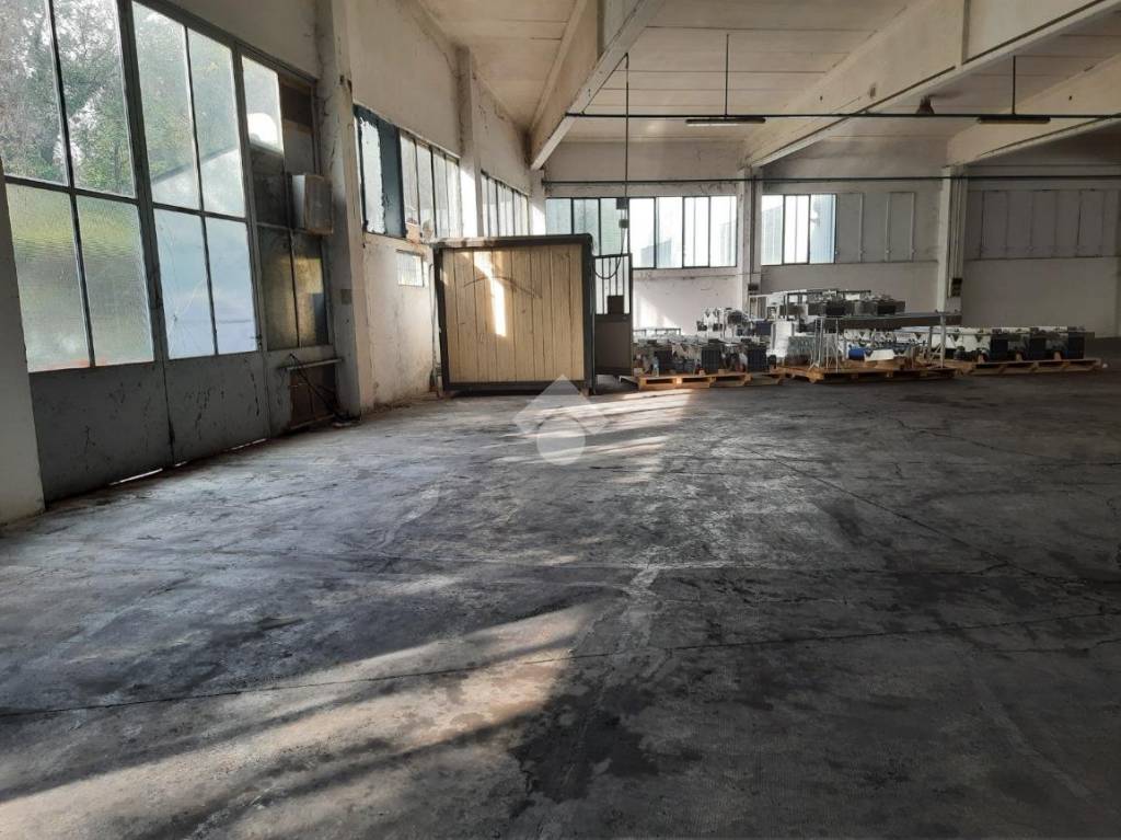 immagine annuncio 8 di 13