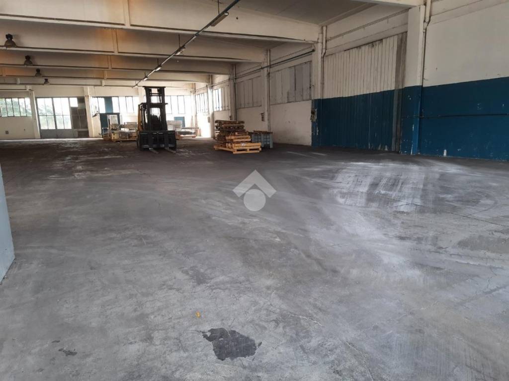 immagine annuncio 9 di 13