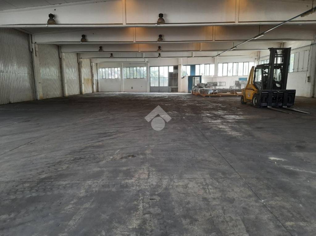 immagine annuncio 11 di 13