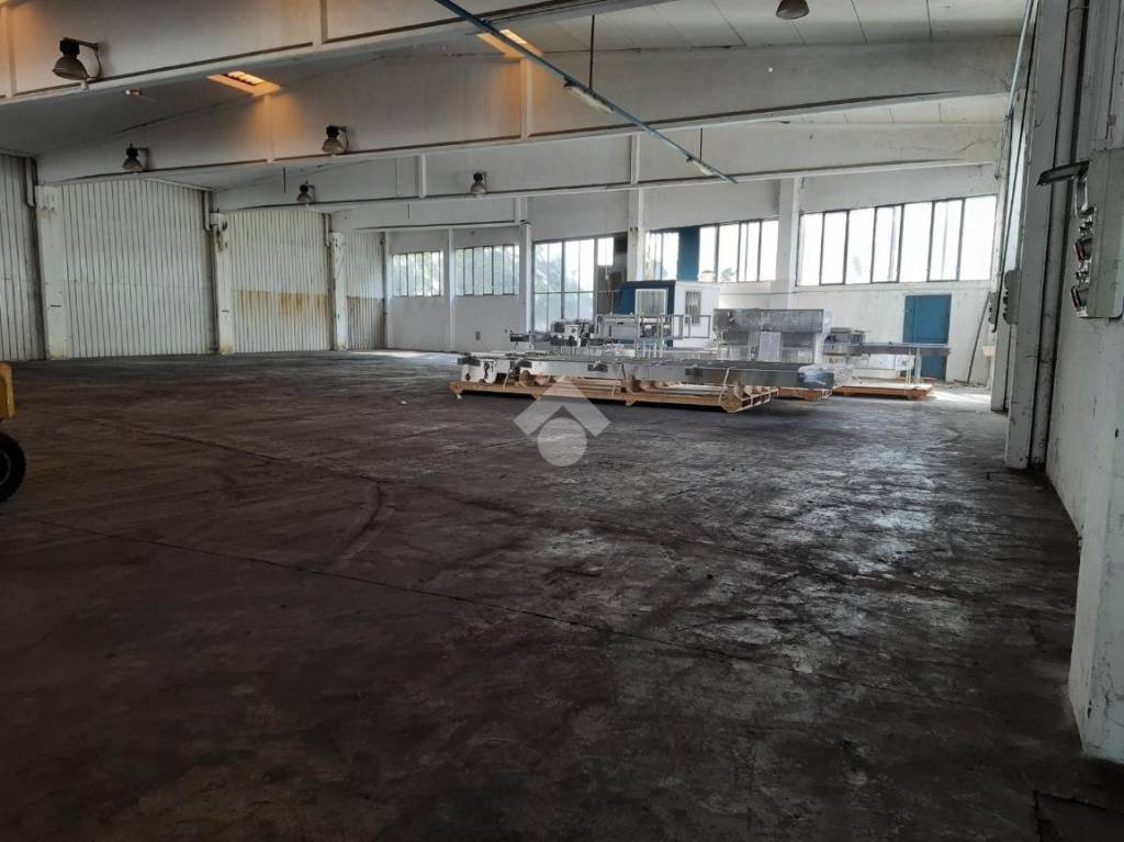 immagine annuncio 12 di 13