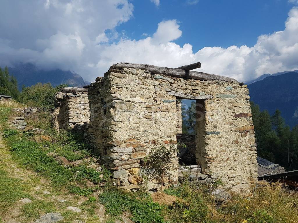 immagine annuncio 1 di 7
