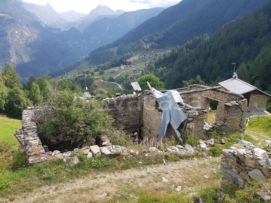 immagine annuncio 2 di 7