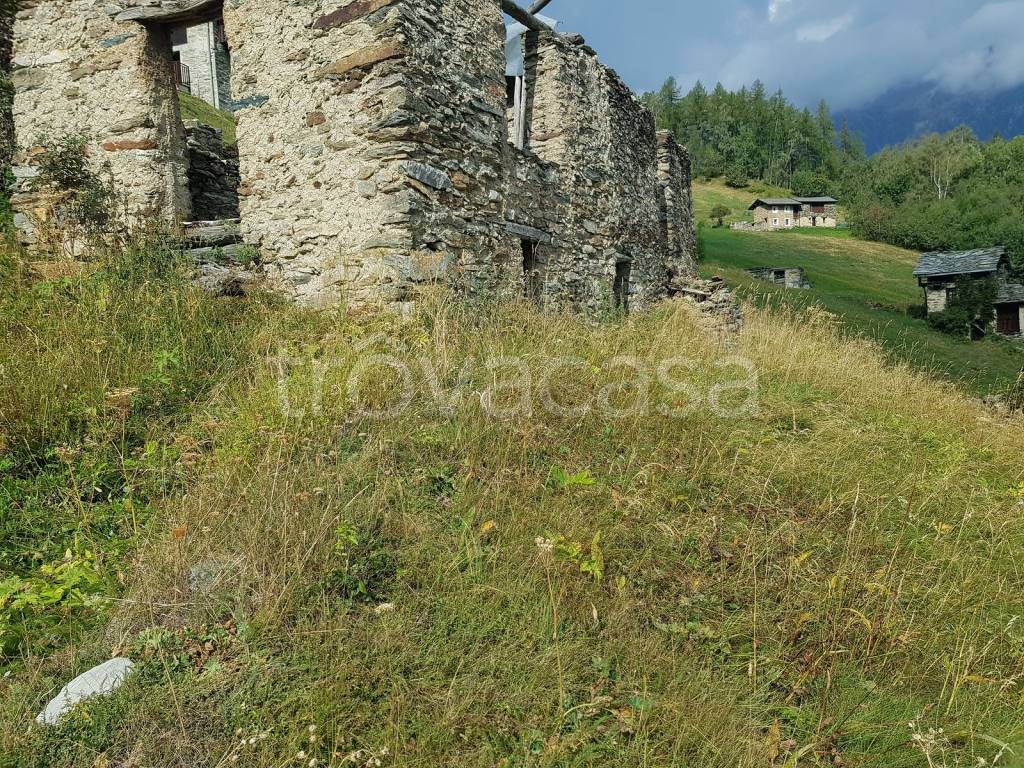 immagine annuncio 3 di 7