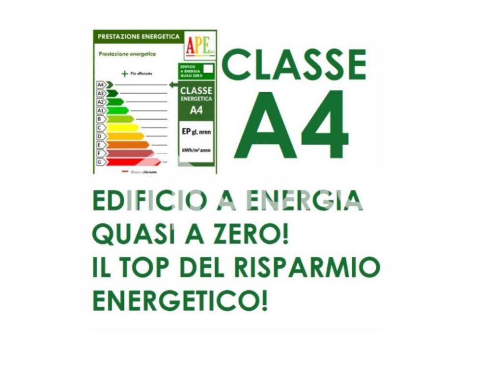 immagine annuncio 5 di 6