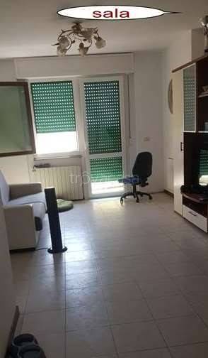 immagine annuncio 12 di 14