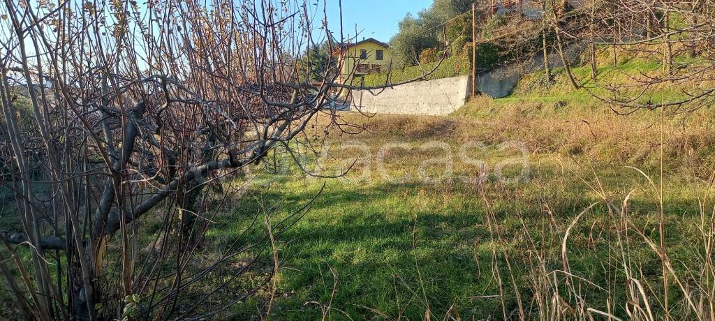 immagine annuncio 12 di 13