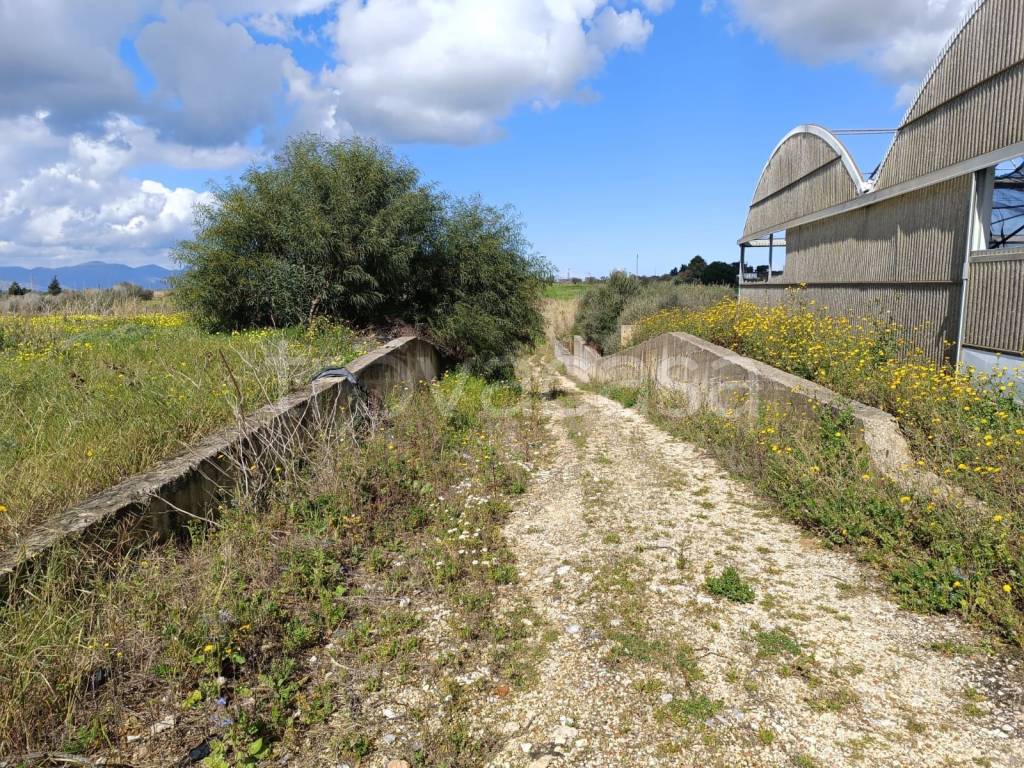 immagine annuncio 9 di 13