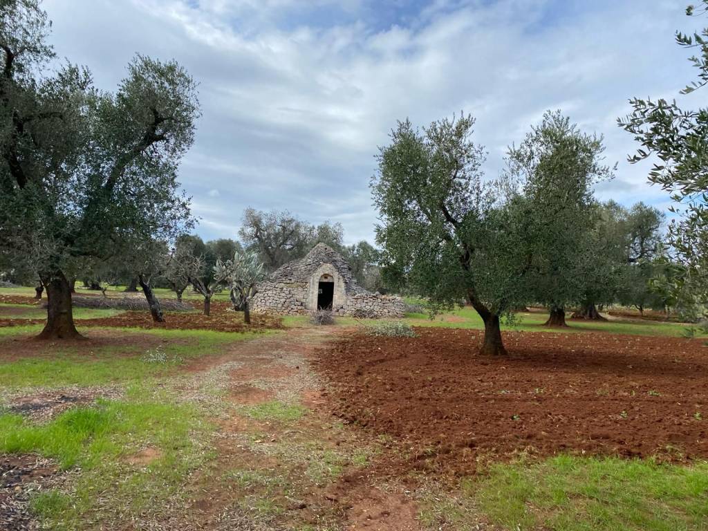 immagine annuncio 2 di 7