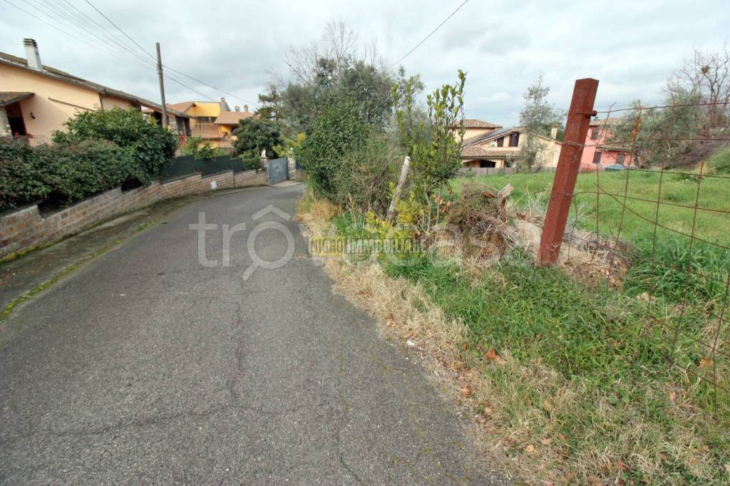 immagine annuncio 7 di 14