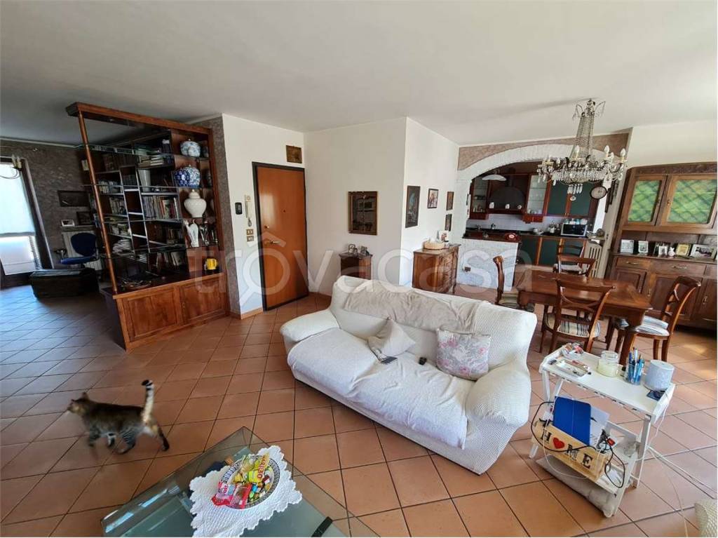 immagine annuncio 8 di 15