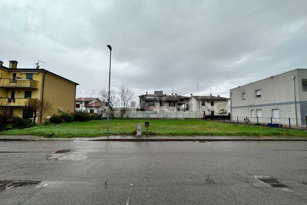 immagine annuncio 1 di 3