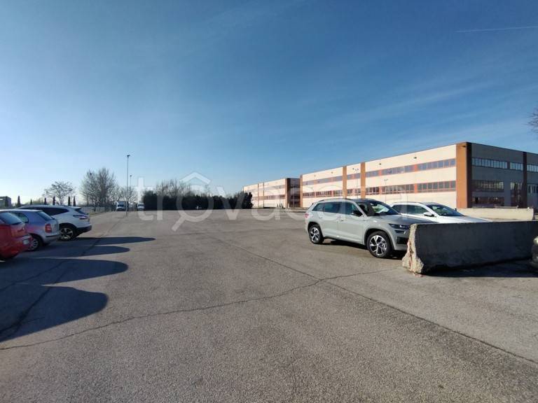 immagine annuncio 2 di 3