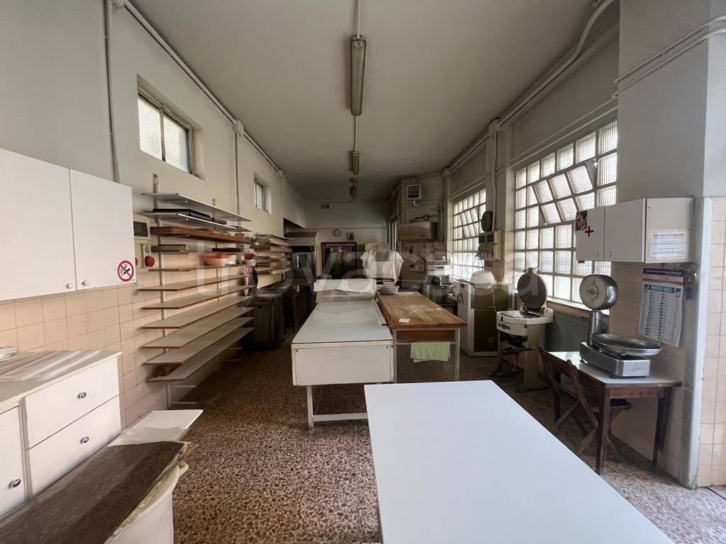 immagine annuncio 5 di 13