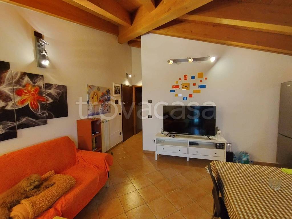 immagine annuncio 3 di 13