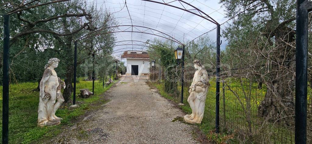 Casa Indipendente in in vendita da privato a Canosa di Puglia contrada Quarto, 1