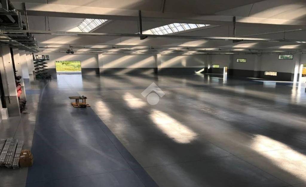 immagine annuncio 2 di 14