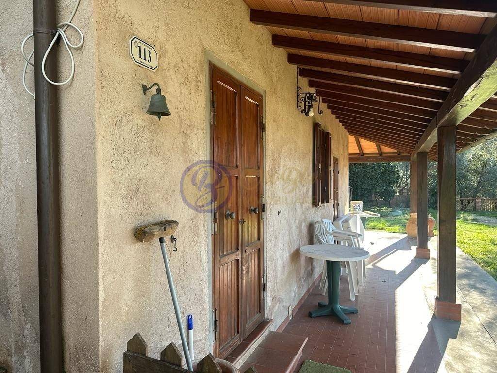 immagine annuncio 4 di 12