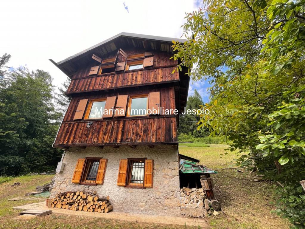 Casa Indipendente in vendita a Val di Zoldo via firenze