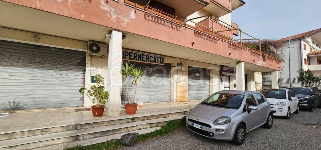 immagine annuncio 1 di 9