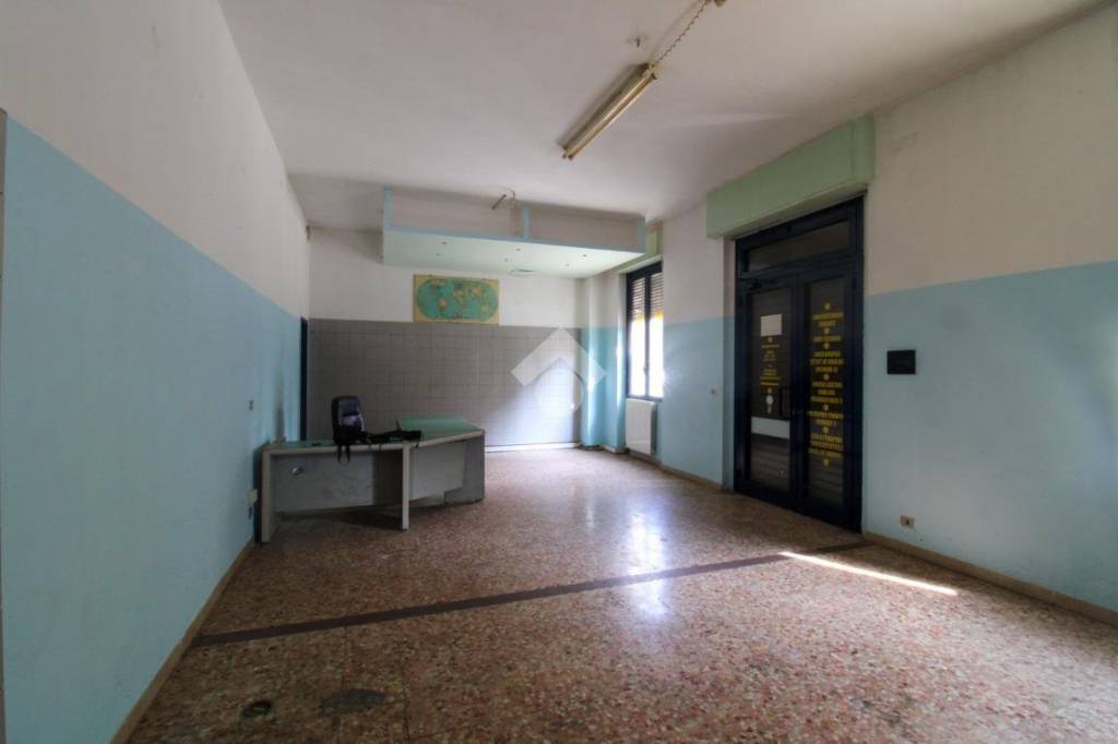 immagine annuncio 2 di 12