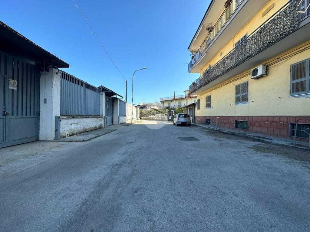 immagine annuncio 10 di 14