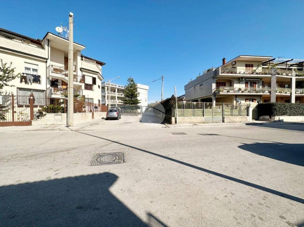 immagine annuncio 12 di 14
