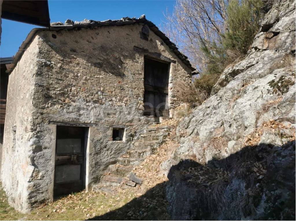 immagine annuncio 6 di 7