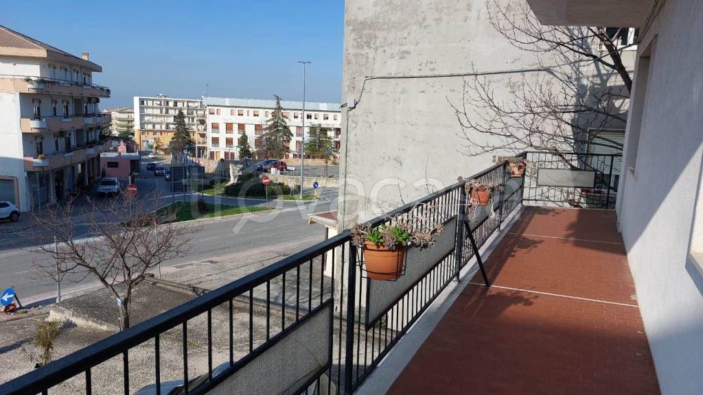 immagine annuncio 10 di 14