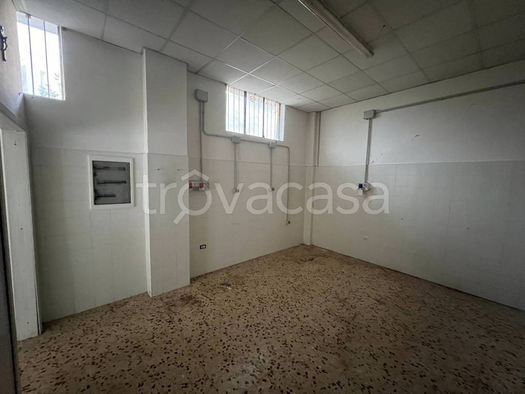 immagine annuncio 3 di 8