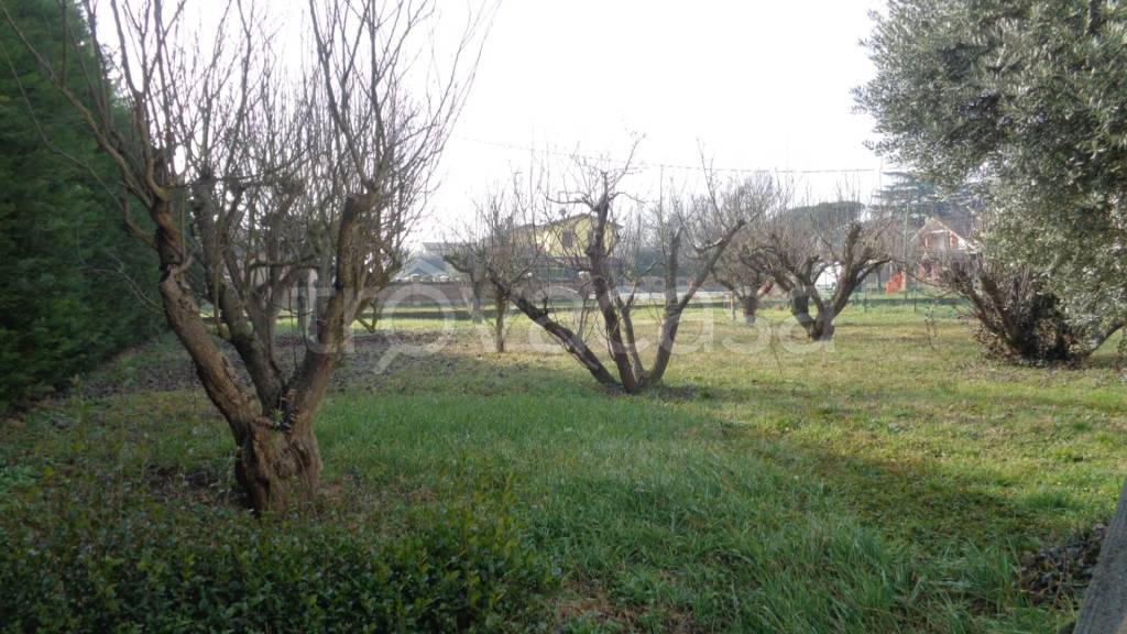 immagine annuncio 8 di 15