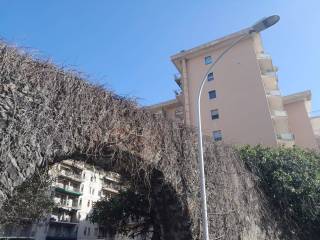 Appartamento in in vendita da privato a catania via palazzotto, 50