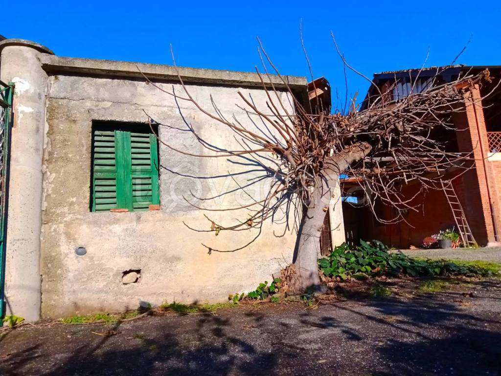 immagine annuncio 7 di 12