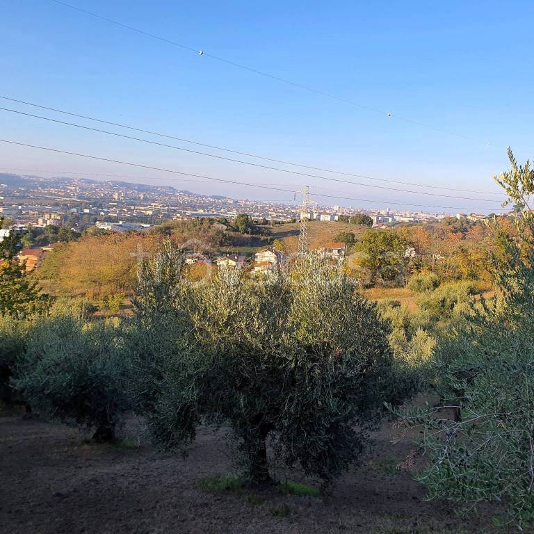 immagine annuncio 7 di 8