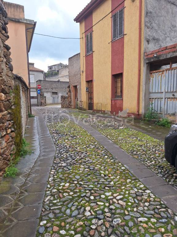 immagine annuncio 2 di 11