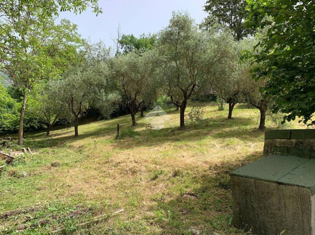 immagine annuncio 10 di 14