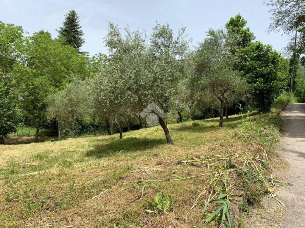 immagine annuncio 9 di 14