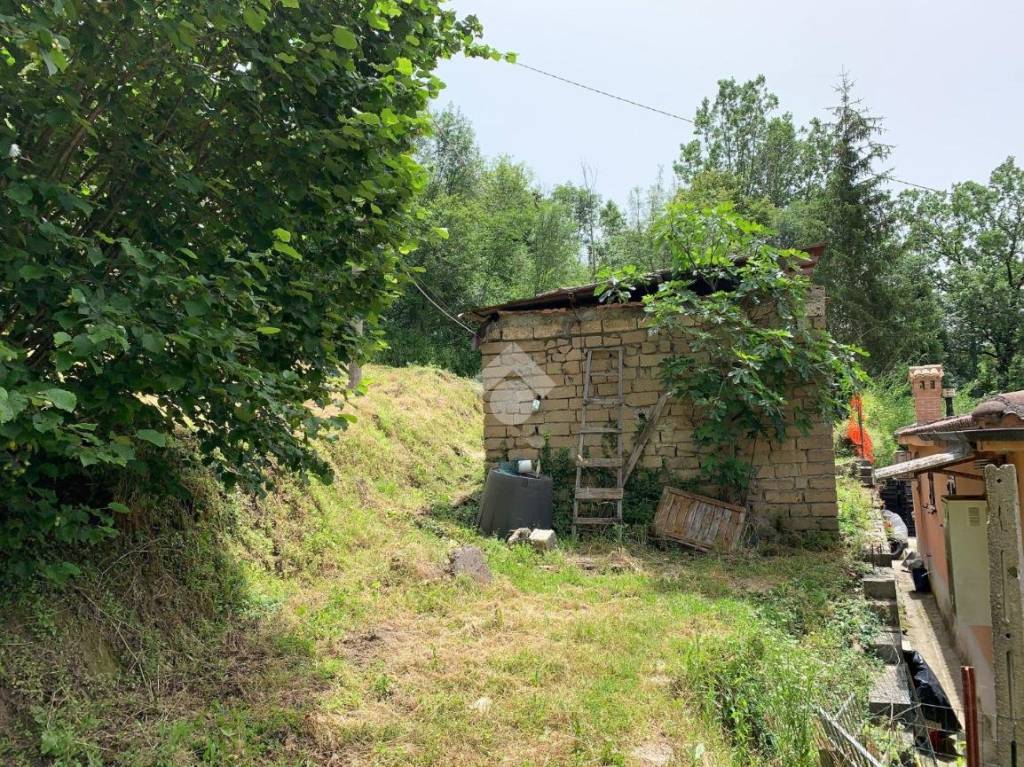 immagine annuncio 7 di 14