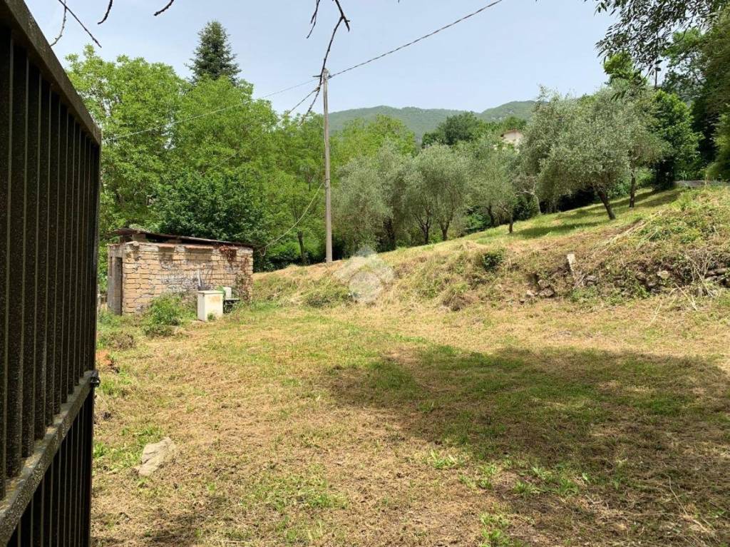 immagine annuncio 1 di 14