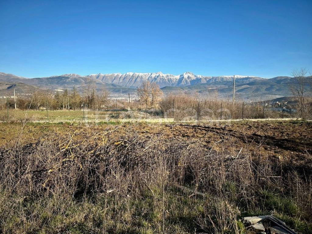 immagine annuncio 5 di 13