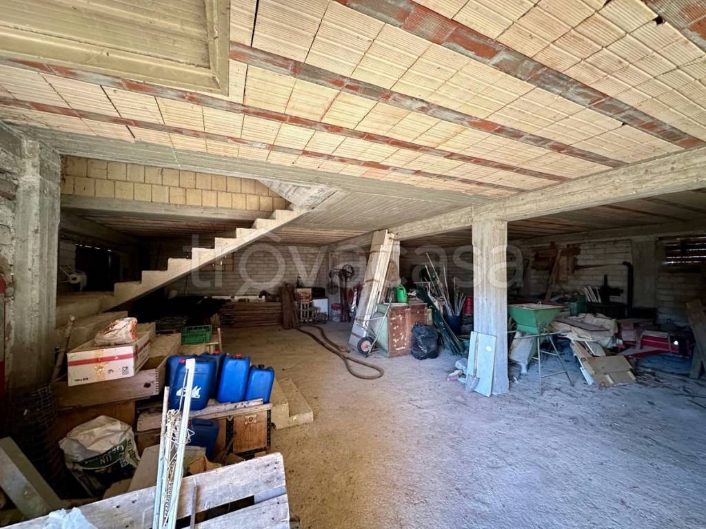 immagine annuncio 6 di 13