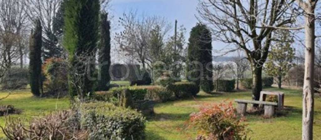 immagine annuncio 3 di 14