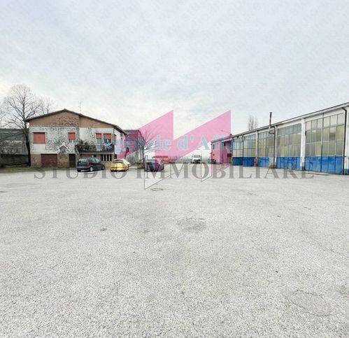 immagine annuncio 3 di 12