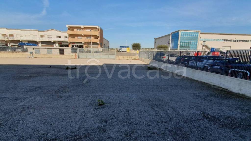 immagine annuncio 2 di 6