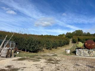 Terreno agricolo in vendita a sasso marconi via barleda