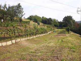 Terreno agricolo in affitto a monticello brianza via papa giovanni xxiii